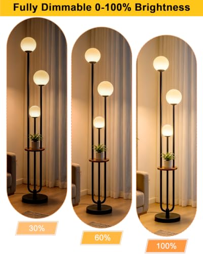 Dimmable Floor Lamp for Living Room 3 (3 Count)