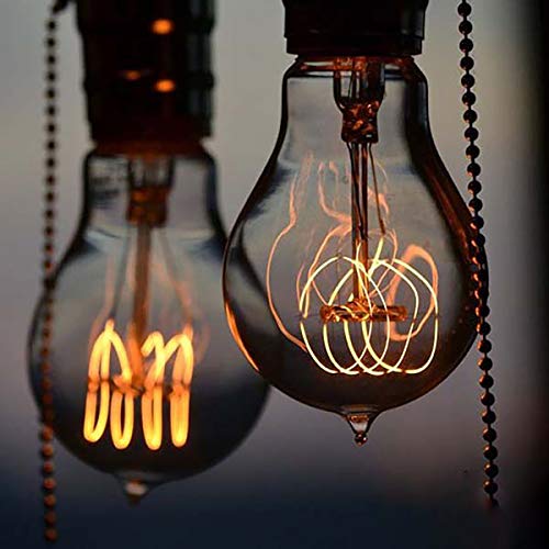 6 Pack Edison Light Bulb 60 Watt Dimmable A19 Vintage Warm Bulb (6 Count)