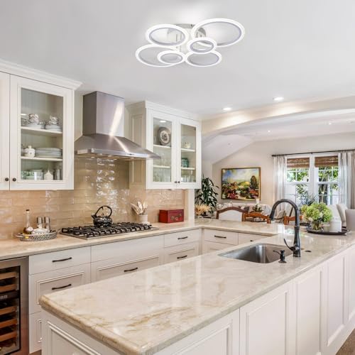 Modern LED Ceiling Light