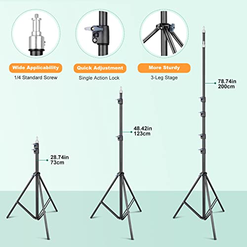 Softbox Lighting Kit (6 Count)
