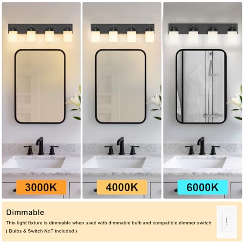 Bathroom Vanity Light Fixture