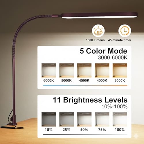 LED Desk Lamp