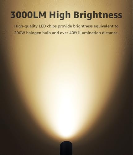 30W Spot Lights Outdoor LED Spotlight 120V 3000LM Ultra Bright Flag Pole Light with Metal Stake (2 Count)