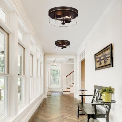 Flush Mount Ceiling Light Fixtures