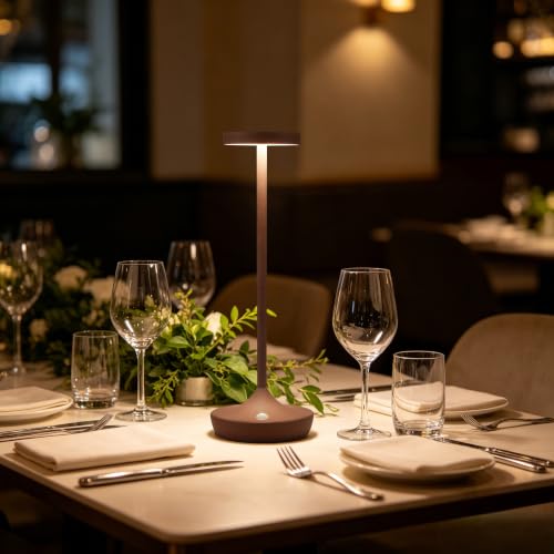 2 Pack Rechargeable Cordless Table Lamps 6000mAh LED Battery Table Light
