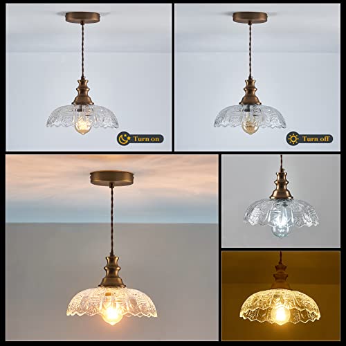 2 Pack Pendant Light Vintage Oil Rubbed Bronze Metal Glass Shade Chandelier
