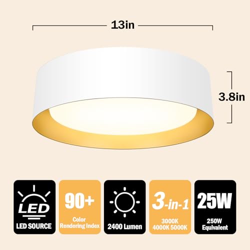 Flush Mount Ceiling Light