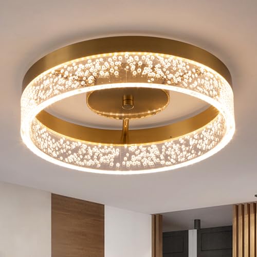 Modern LED Ceiling Light Fixture