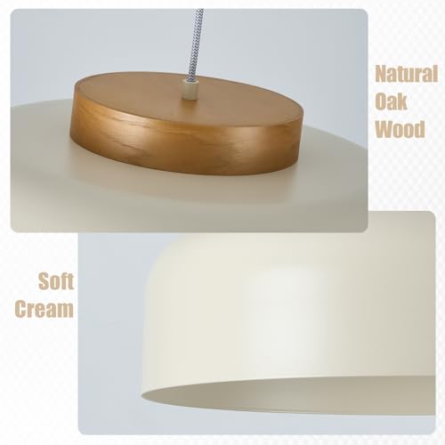 Modern Large Pendant Light