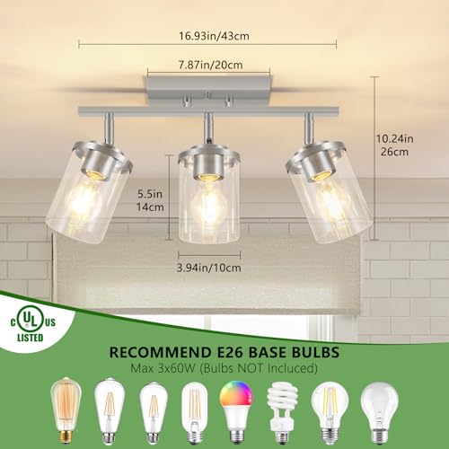 3 Lights Kitchen Light Fixtures Ceiling Mount