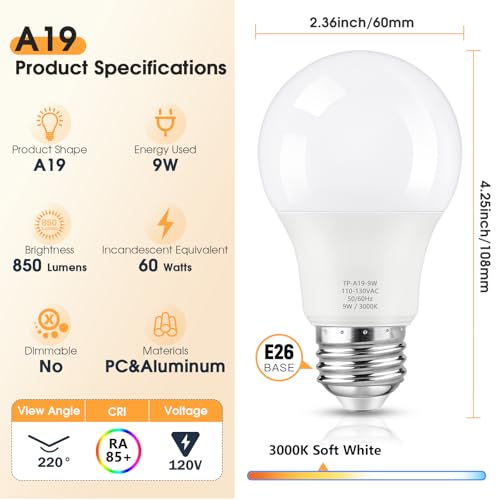 A19 LED Light Bulbs (24 Count)