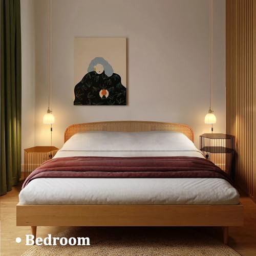 Plug in Pendant Light Hanging Light Fixture Corded On
