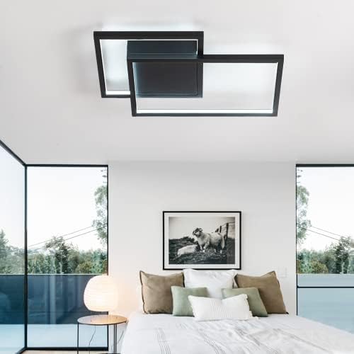 Modern Ceiling Light