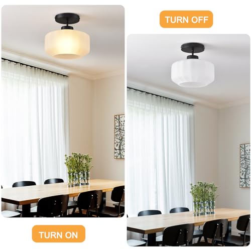 Industrial Black Matte Light Fixtures Ceiling Mount