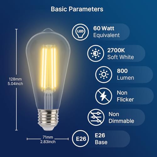 Dusk to Dawn Outdoor Sensor ST19 LED Light Bulb (4 Count)