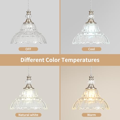 1 Piece Chandelier in Brushed Nickel Finish with Flower (1-Light / Nickel)