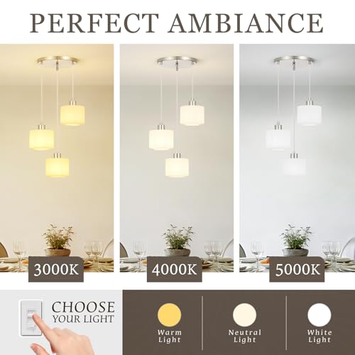 Brushed Nickel Dining Room Chandelier Light Fixture