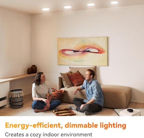 6 Pack BR30 Flood Light Bulb Indoor (6 Count)