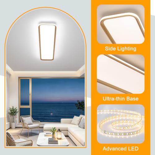 Modern LED Ceiling Light