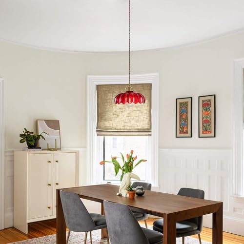Plug in Pendant Light