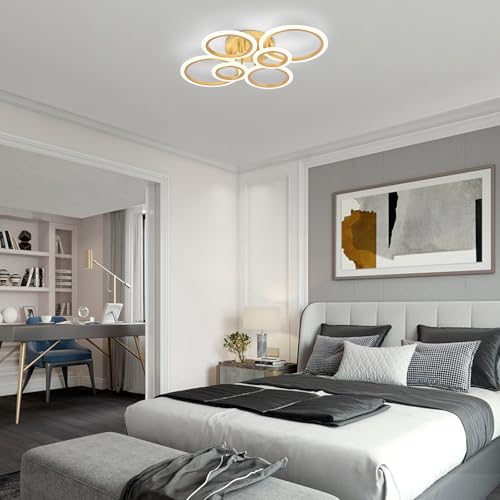 Modern LED Ceiling Light