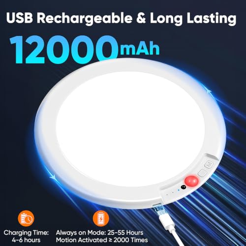 Rechargeable Motion Sensor Ceiling Light (2 Count)