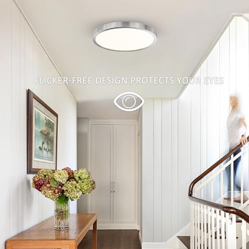 12 Inch Flush Mount LED Ceiling Light Fixture (2 Count)