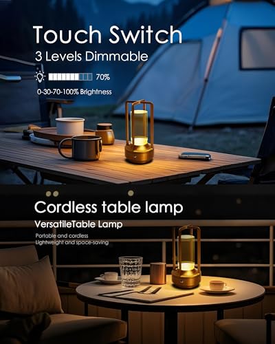 Set of 2 Cordless Table Lamps Rechargeable LED Desk Lamps Gold (2 Count)