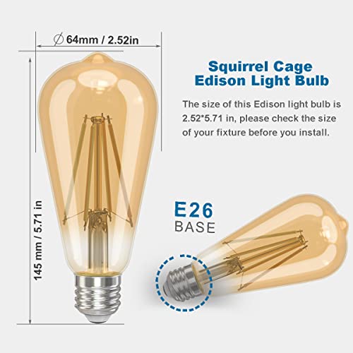 LED Edison Bulbs