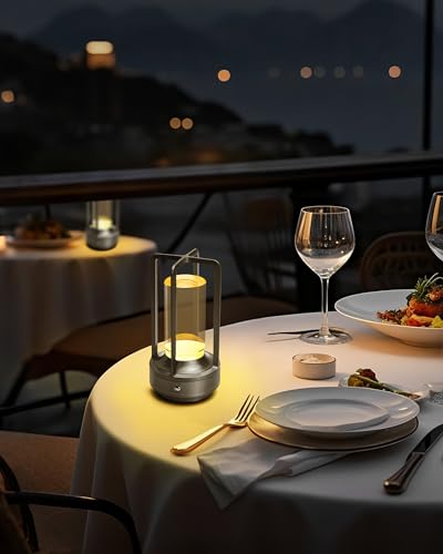 Set of 2 Cordless Table Lamps Rechargeable Desk Lamps Silver (2 Count)