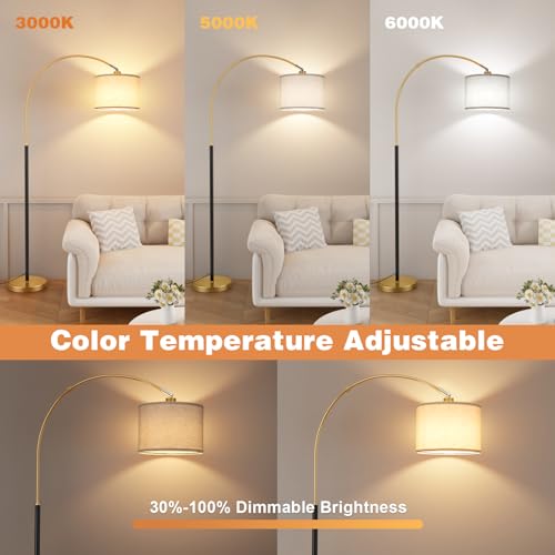 Dimmable Arc Floor Lamp with Remote