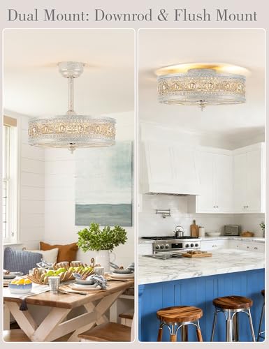 Fandelier Ceiling Fan with Light