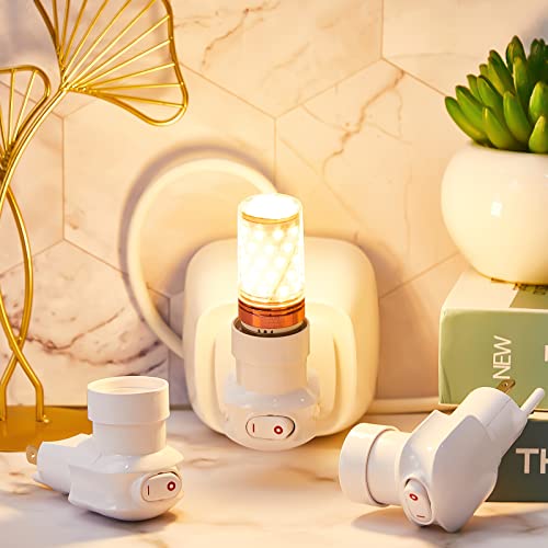 Plug in Light Socket