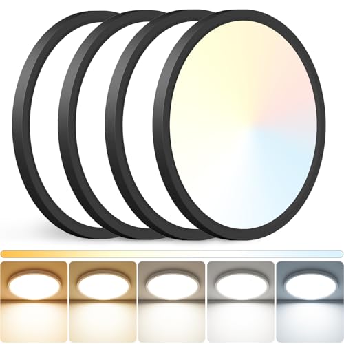 12 inch LED Ceiling Light