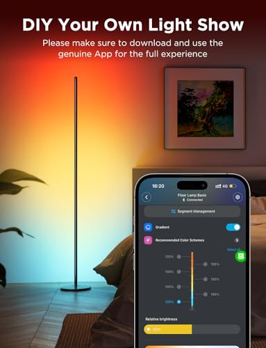 RGBIC Floor Lamp Basic