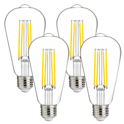 100W Equivalent LED Edison Bulbs (4 Count)