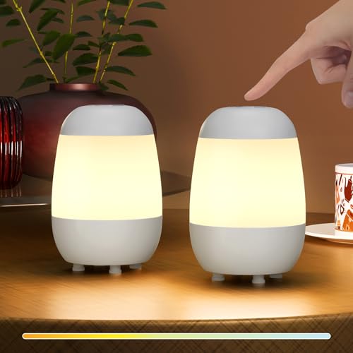 2 Pack Rechargeable Small Night Light Touch Dimmable Cordless Lamp (2 Count)