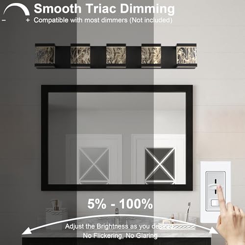 5 Lights Black LED Vanity Lighting with Unique Smoke Acrylic Panel