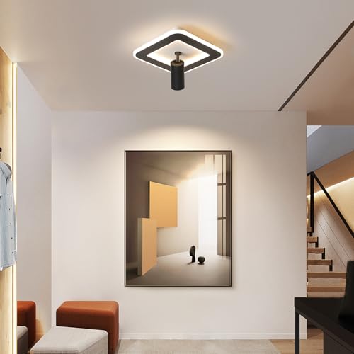 Modern LED Ceiling Lights with 1 spotlights 9.8Inch Black Ceiling Lights with Remote Control Dimmable