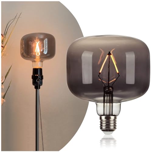Large Edison Bulbs E26 LED