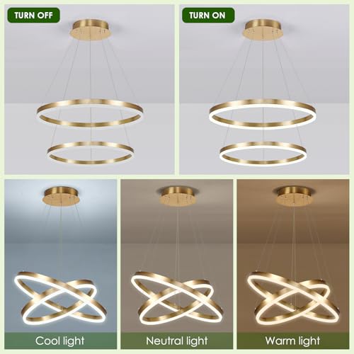 2 Rings Modern LED Chandelier Gold for Dining Room (2 Count)