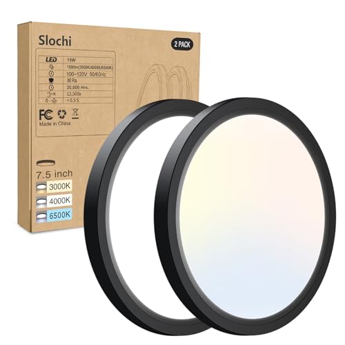 2PACK LED Flush Mount Ceiling Light Fixture (2 Count)