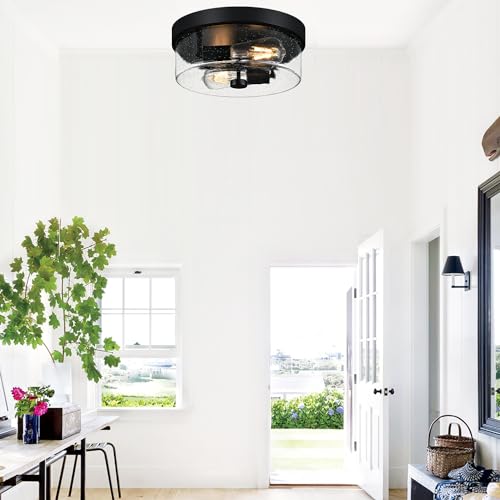 Black Flush Mount Ceiling Light Fixtures