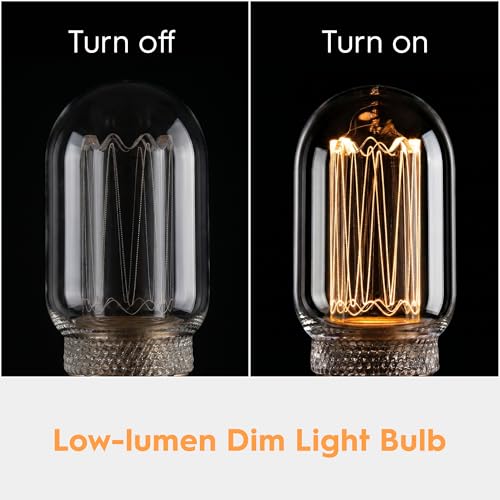 Decorative Light Bulb E26 Vintage Edison LED Dim Soft Warm Clear T45