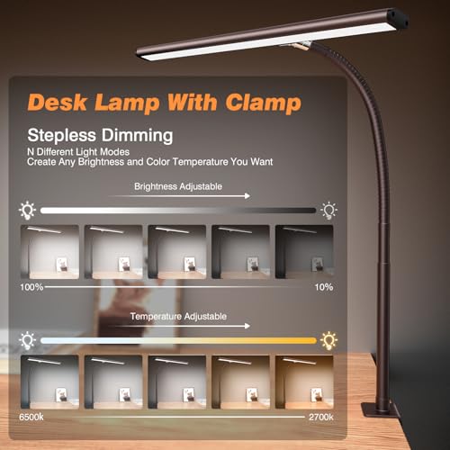 LED Desk Lamp with Clamp