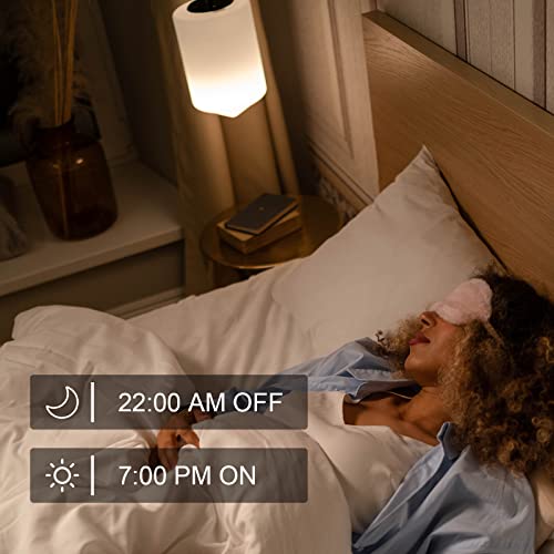 WiFi Smart Dimmable Plug 2 Pack (2 Count)