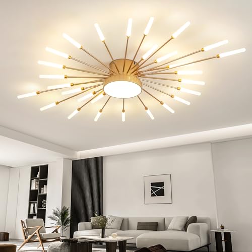 Modern Ceiling Light