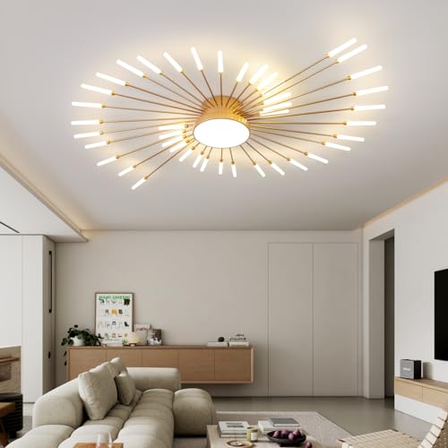 Modern Ceiling Light