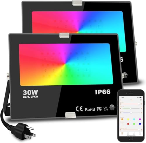 Led Flood Light 30W (2 Count)