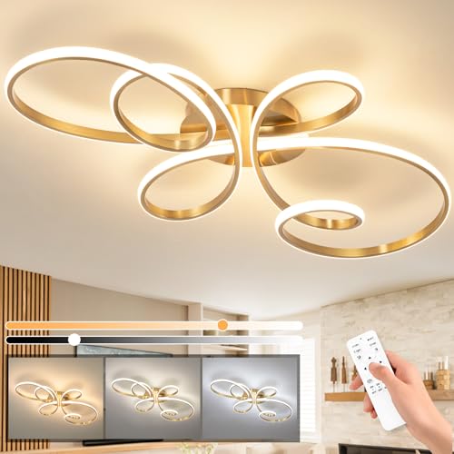 20inch Modern LED Ceiling Light